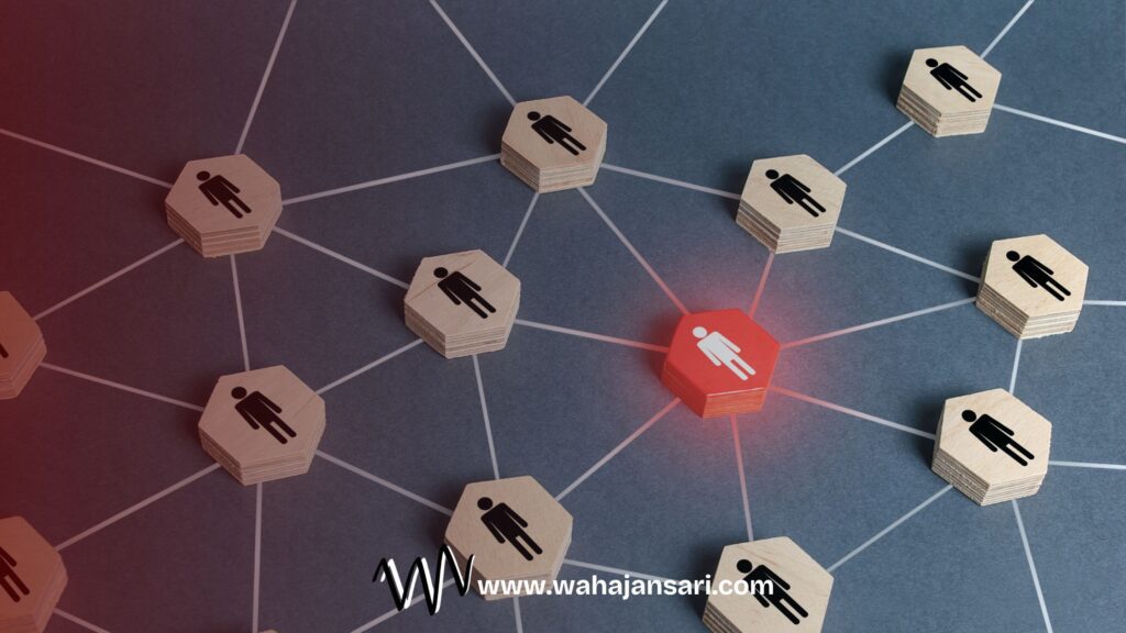 Safe Link Building Speed for New vs. Old Websites