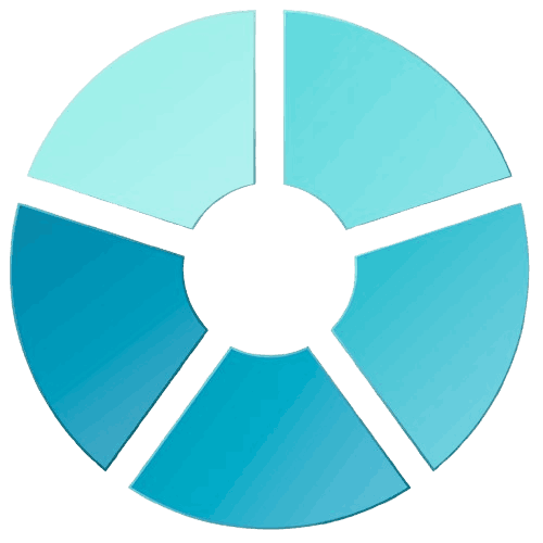step by step method of technical audit service